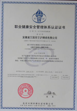 Occupational Health and Safety System Certification