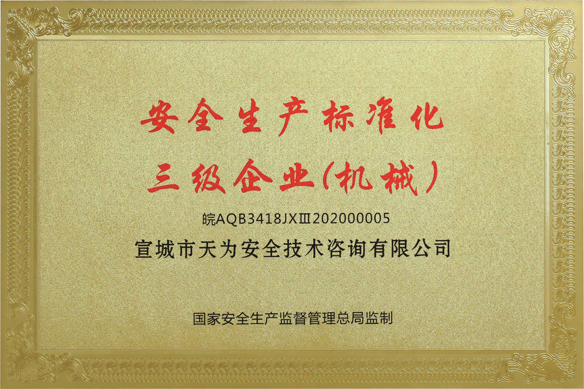 Level 3 enterprise for safety production standardization